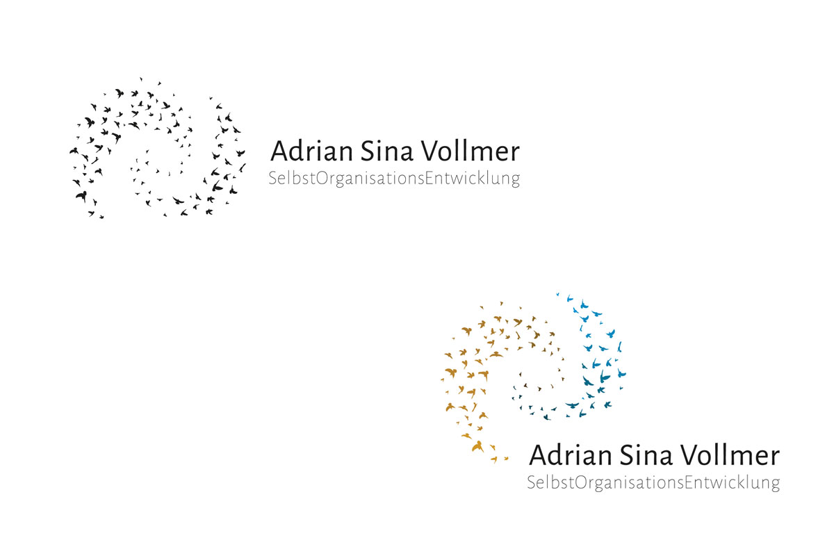 Adrian Sina Vollmer · SelbstOrganisationsEntwicklung